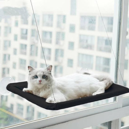 hamac pour chat fenêtre noir avec chat