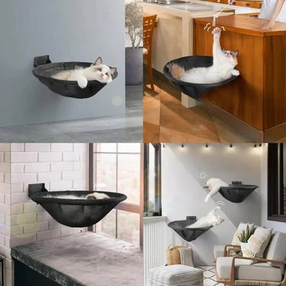 chat joue hamac noir accroché mur