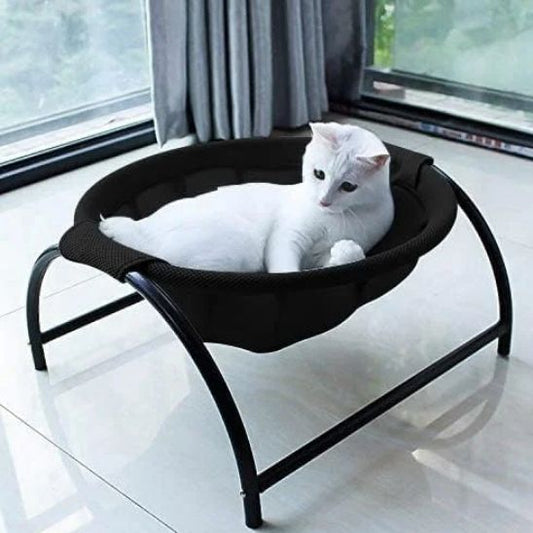 chaton blanc relax dans hamac pour chat CozyPaws