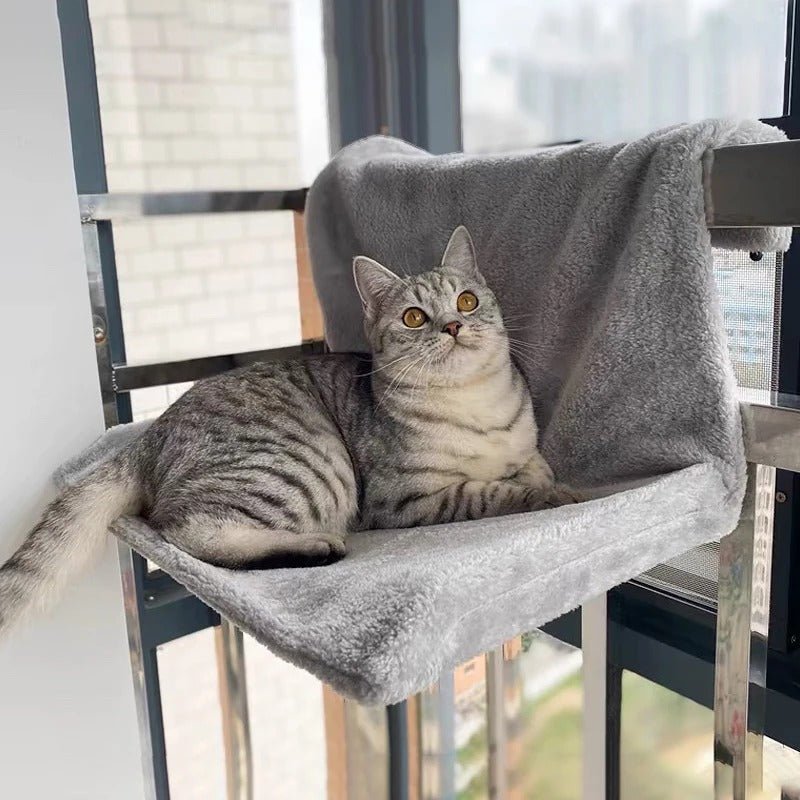 chat gris tigré couché hamac gris