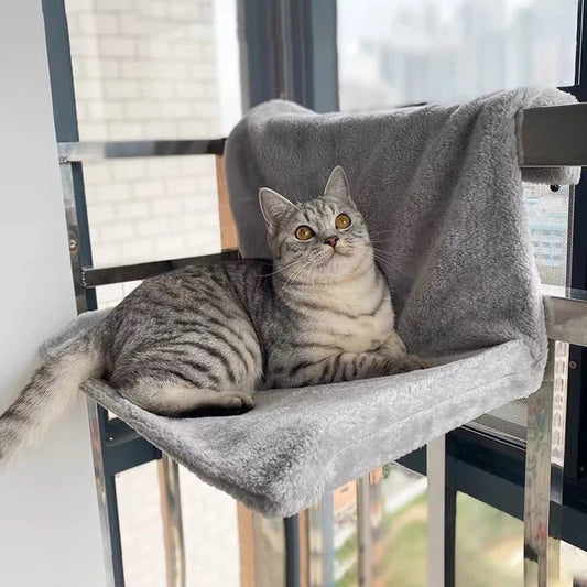 chat gris tigré couché hamac gris