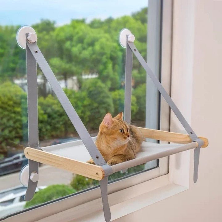 hamac pour chat fenêtre installé à la vitre avec chat détendu