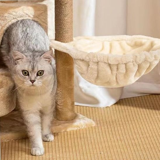 hamac pour chat beige installé sur arbre à chat