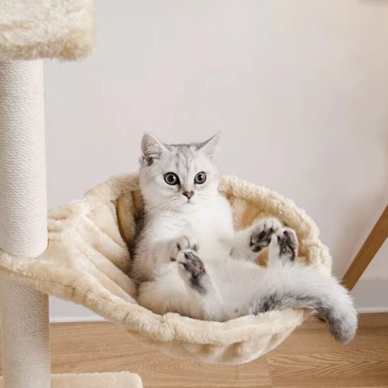 hamac pour chat beige position détente