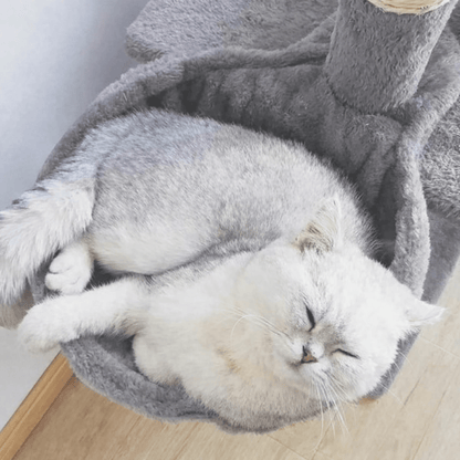hamac pour chat gris chat endormi confort