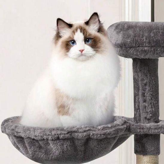 Hamac pour chat - Obesoin - Passion Murale