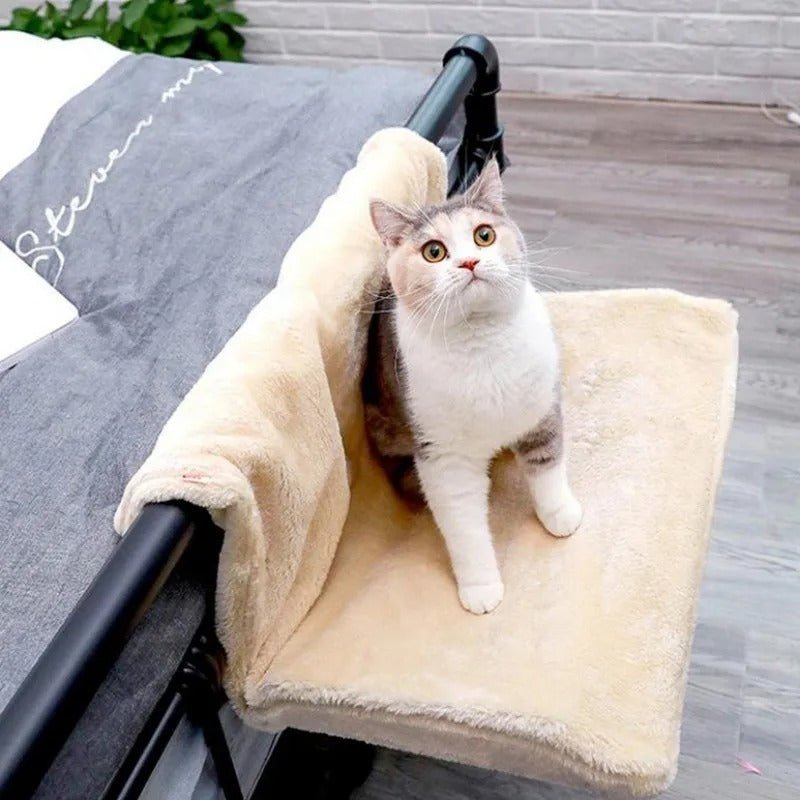 hamac pour chat beige sur canapé