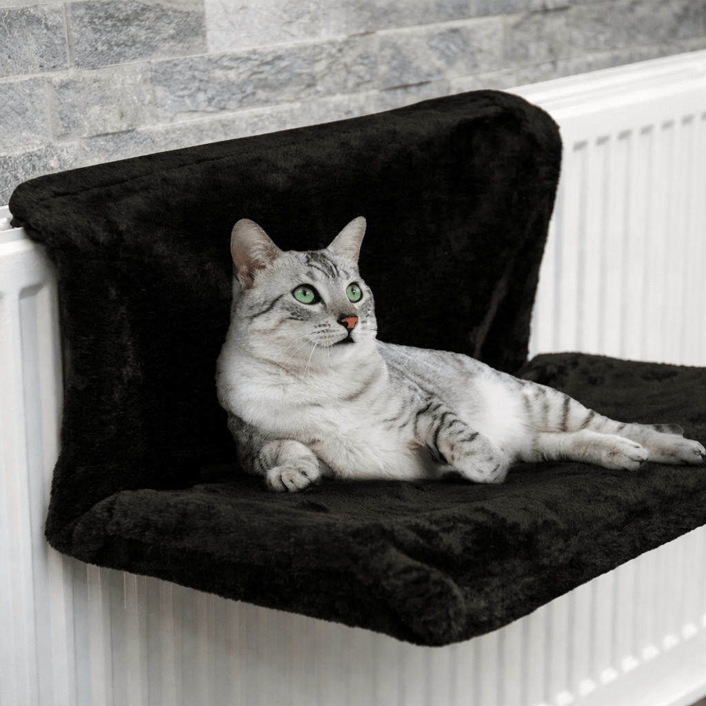 hamac pour chat noir sur radiateur avec chat