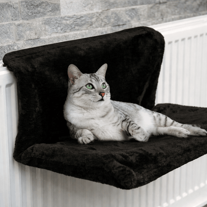 hamac pour chat noir sur radiateur avec chat