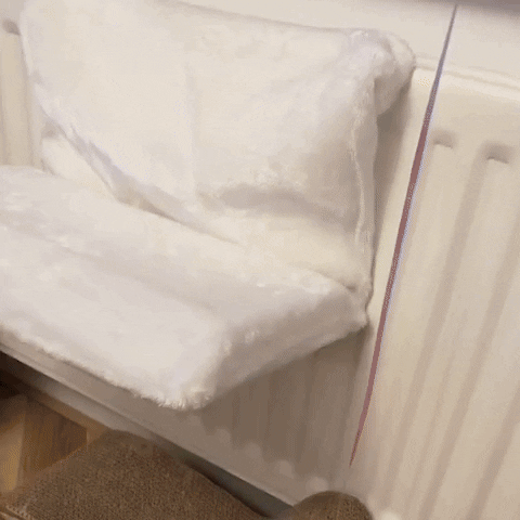 hamac pour chat sur radiateur avec chat en train de se reposer