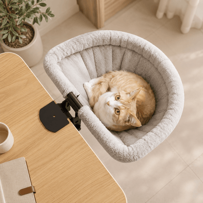 Vue du dessus du panier suspendu pour chat fixé à un bureau