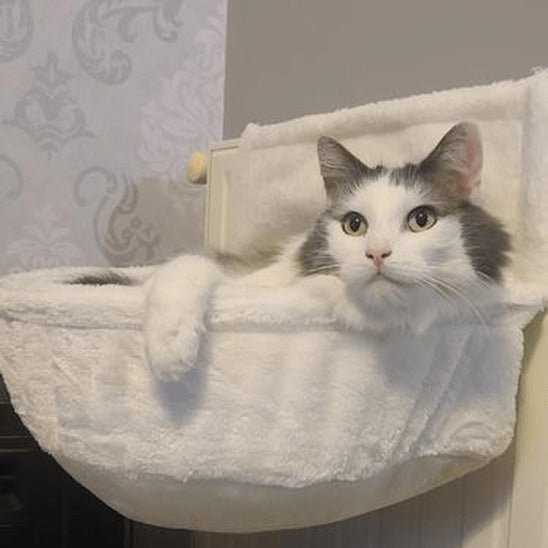 hamac radiateur chat confort chaleur felin
