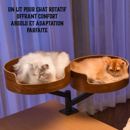 lit chat double bureau deux chats dors dedans