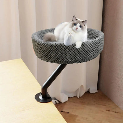 lit chat gris installé bureau chat dedans
