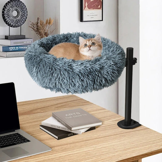 lit flottant gris accrocher bureau chat heureux dors dedans