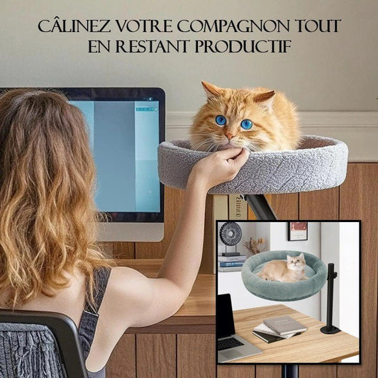 Lit pour chat | Lévicat - Passion Murale