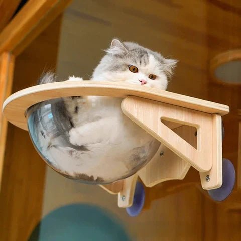 lit pour chat transparent