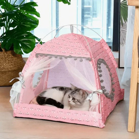 gros chat dors confortablement dedans sa tente
