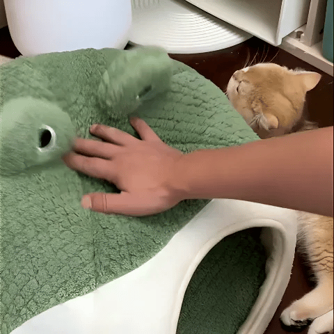 niche à chat matière douce intéraction chat confort