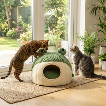 chat découvre niche à chat panier fermé design