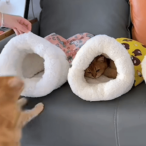 niche chat confort plusieurs chats