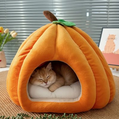 niche hat citrouille orange avec chat endormi cocon doux et rassurant