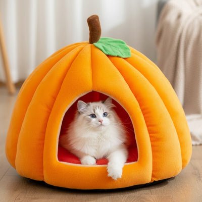 niche chat citrouille originale lit semi fermé pour chat curieux