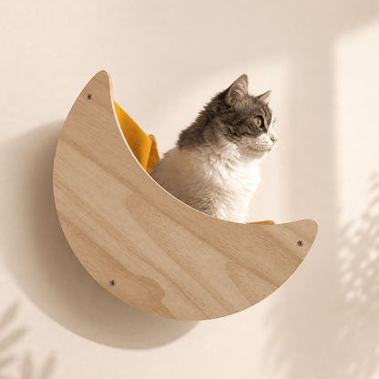 Chat dans une niche chat murale en bois avec tissu confortable