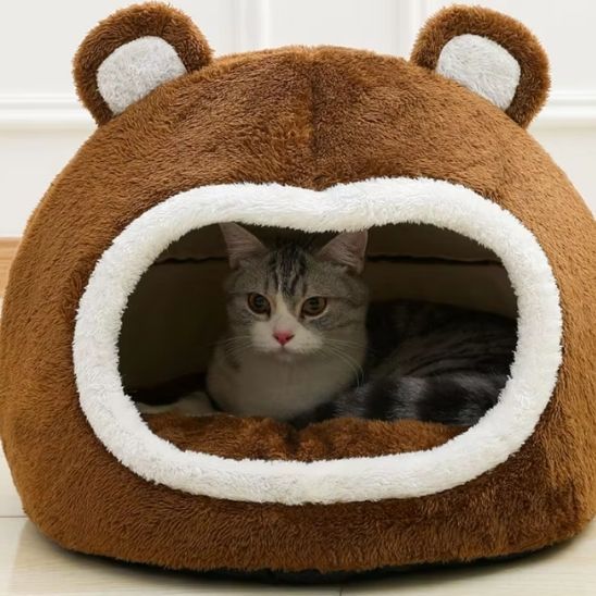 niche chat tête dours design peluche décoratif
