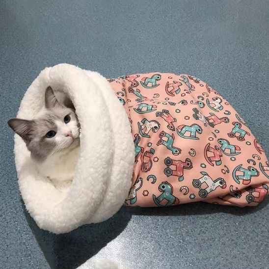chat niche sac de couchage douillet hiver