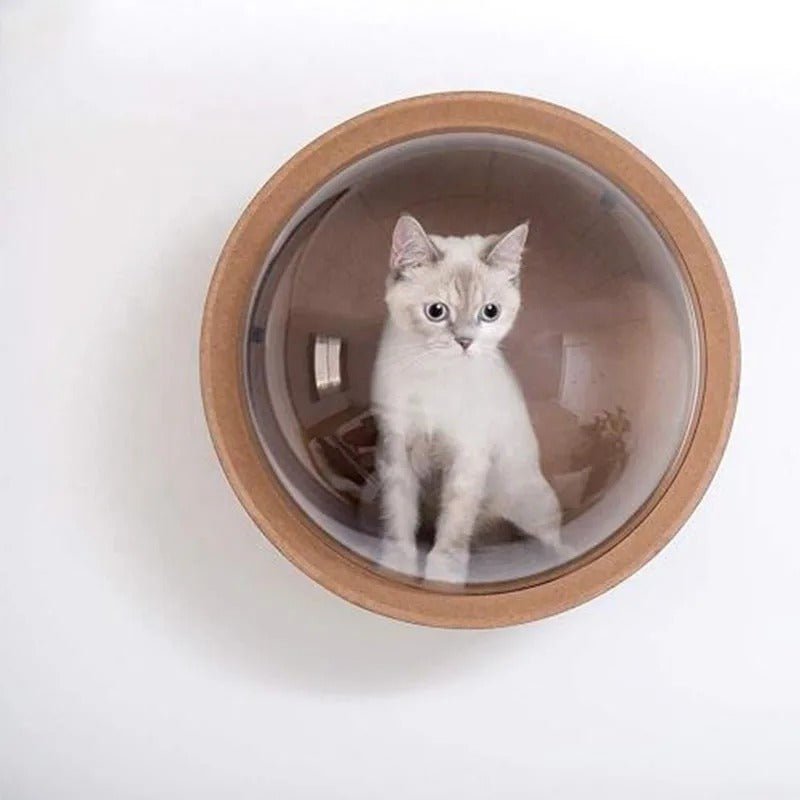 niche murale chat design moderne chaton blanc