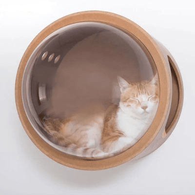 niche murale chat bois avec bulle transparente chat à l'intérieur