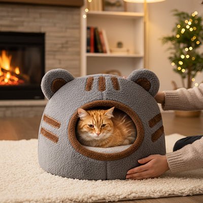 gros matou roux observe territoire couché dans niche pour chat cocoon ultra-douillet