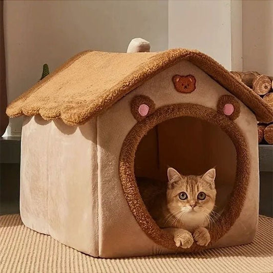 chat couché dedans niche tête sortant par porte