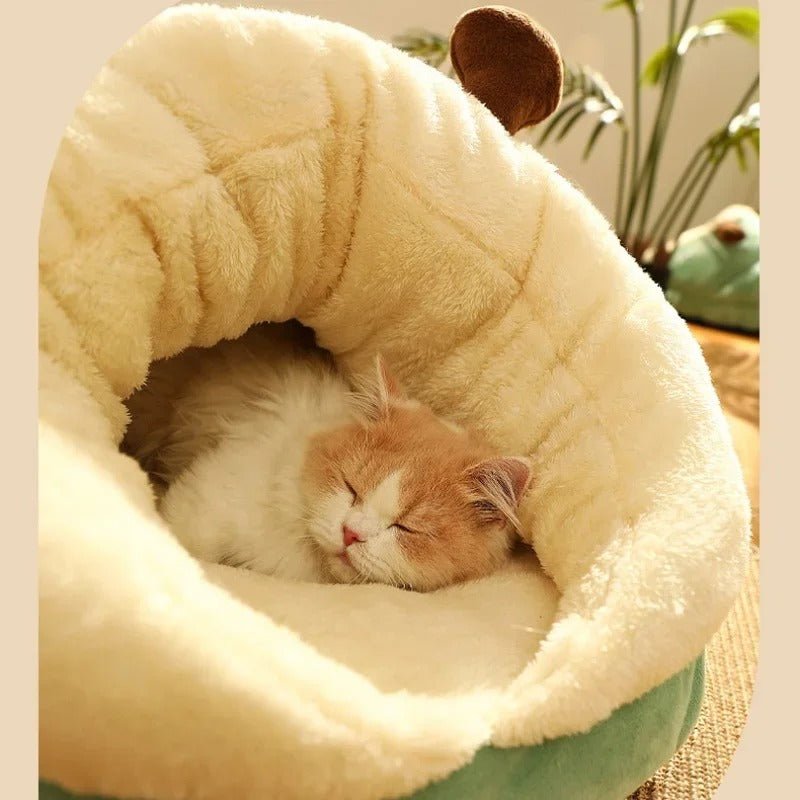 chat dort paisiblement dedans niche pour chat miaoulodge