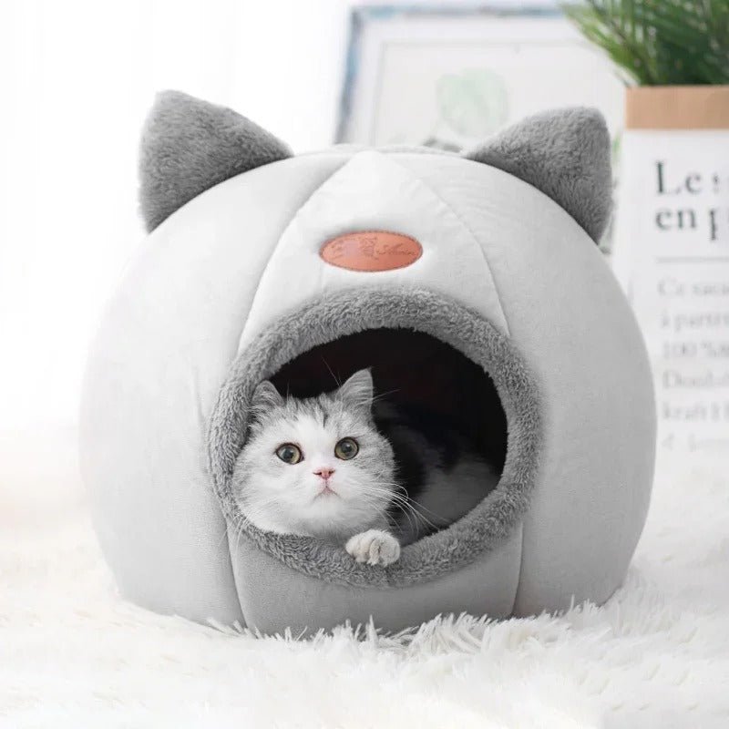 niche pour chat douce et confortable avec chat à lintérieur