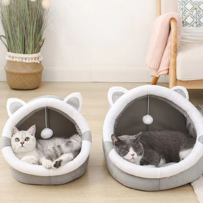 panier chat deux tailles comparaison chat