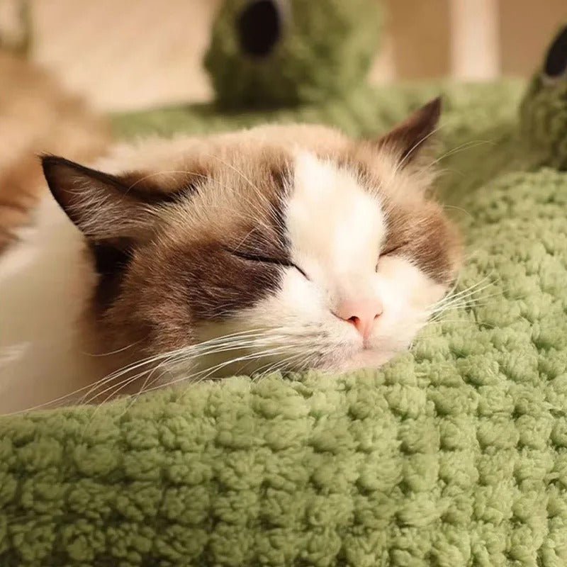 panier chat design grenouille confort sommeil chat