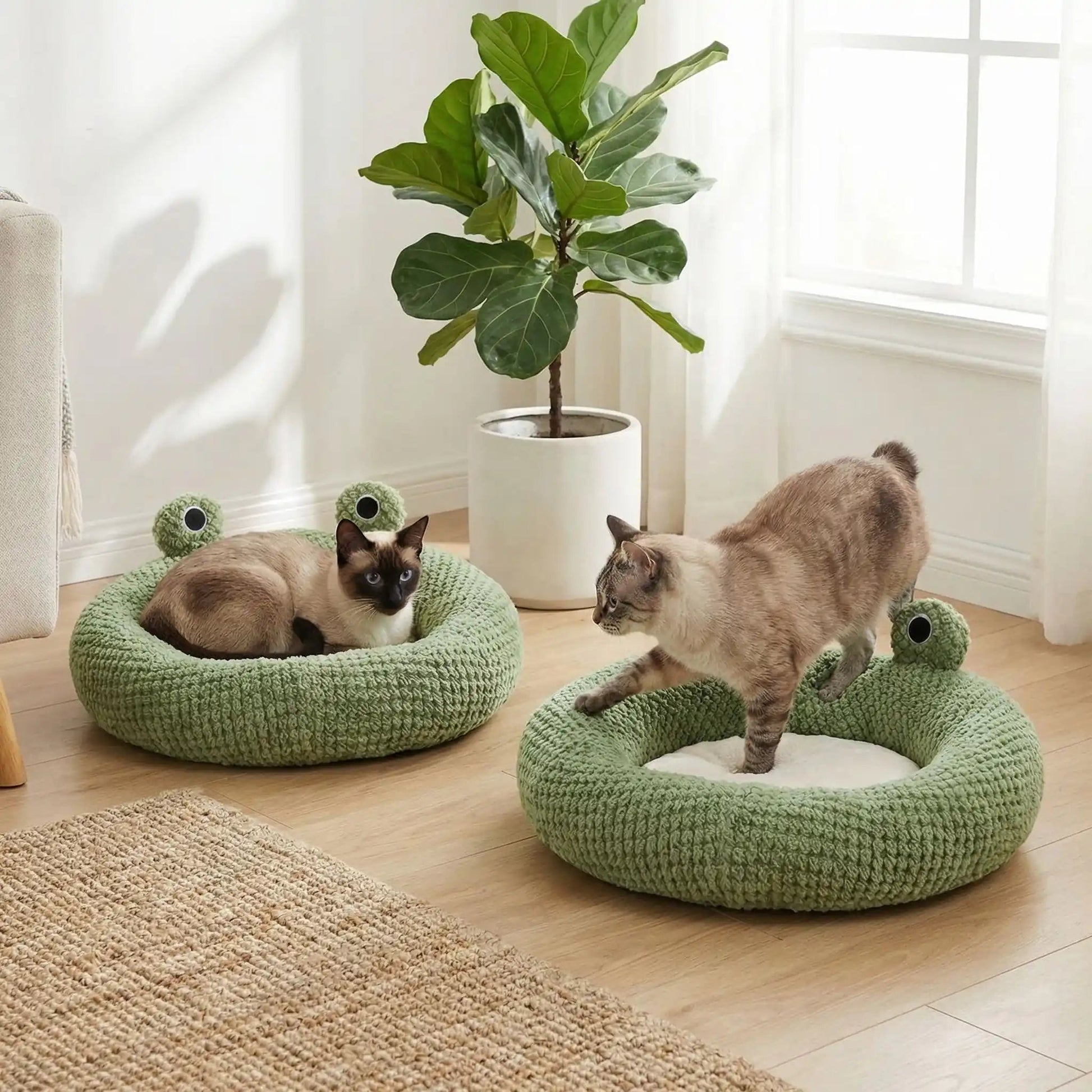 panier chat design grenouille plusieurs chats