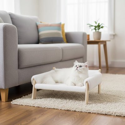 panier chat design moderne intégré dans salon élégant