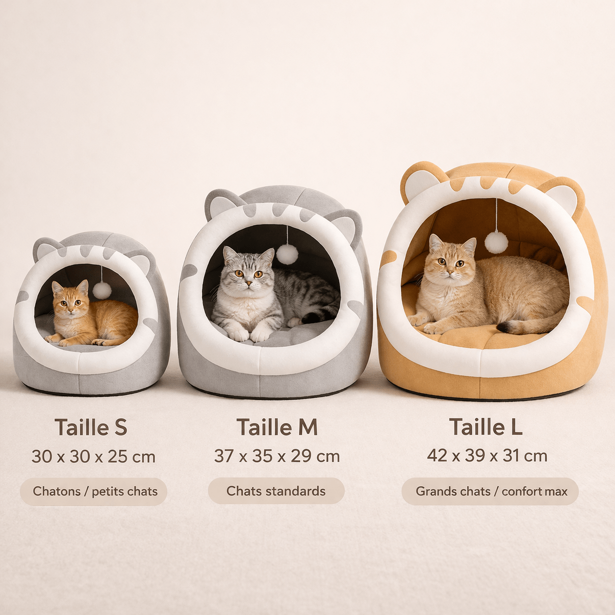 panier chat tailles s m l dimensions cm guide