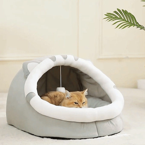 panier chat gif chat joue dort intéractif