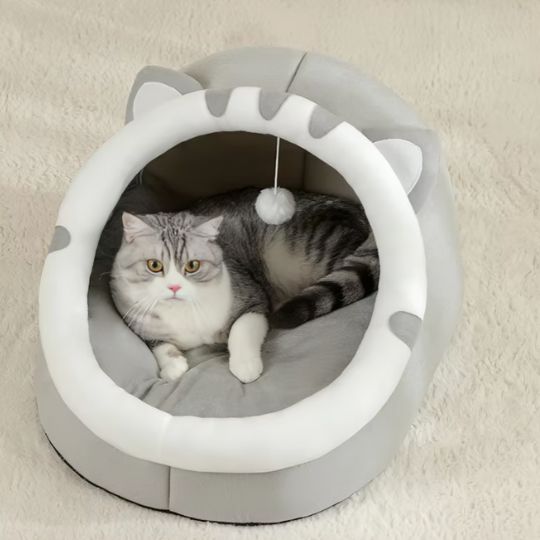 chat couché dedans panier chat p'tit nid