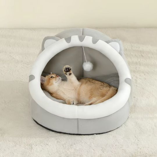 chat joue dedans panier chat gris p'tit nid