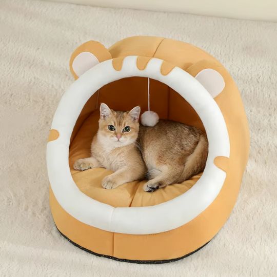 chat repose dedans panier chat p'tit nid