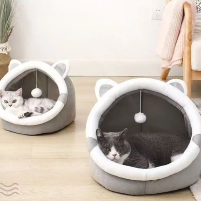 deux panier chat avec chacun chat dedans Moumousse