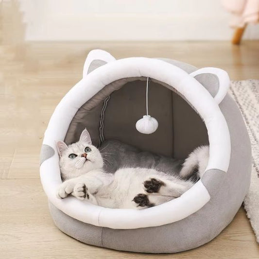 chat blanc mignon couché sur dos dans panier chat Moumousse