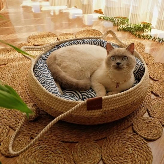 beau chat relax dedans panier chat osier ChaCha Cosy