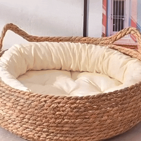 panier chat osier utilisation confort chat video