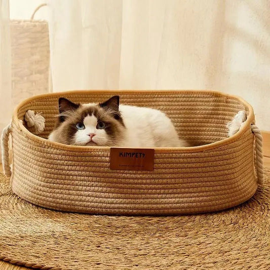 chat observe territoire couché dans panier chat rotin Rotinou